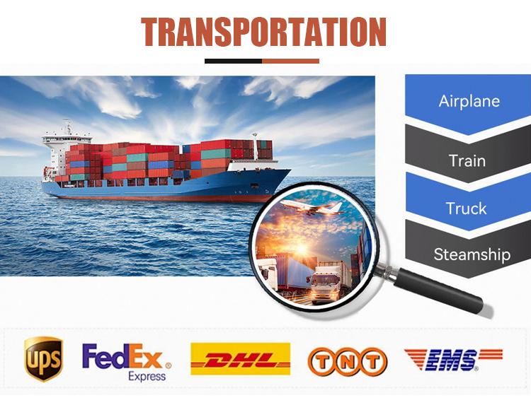 Top Fashion Women Brand Printed Luxury Bag Handbag PU Shoulder Bag Women's Large Capacity Handbag