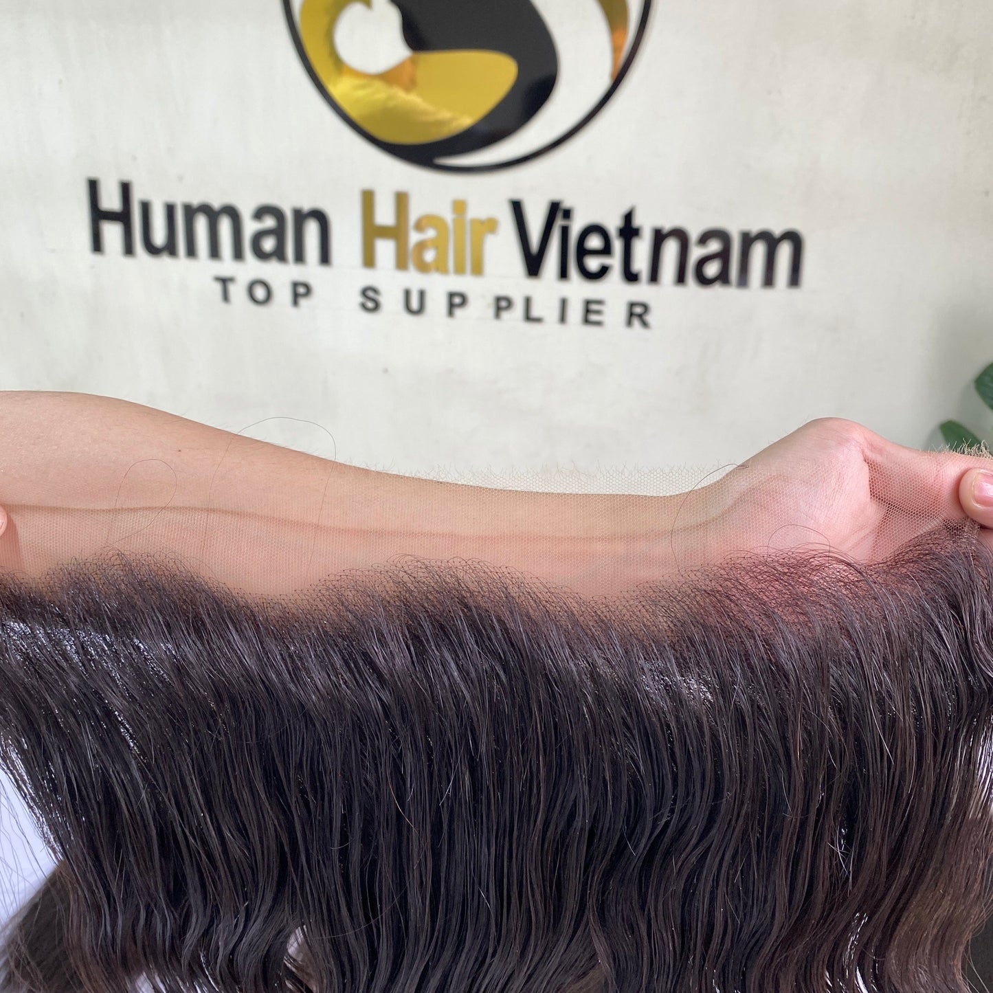 Hot Sale Available Best Real 100 People Virgin Head Horse Hair Belt Lace Front Suit