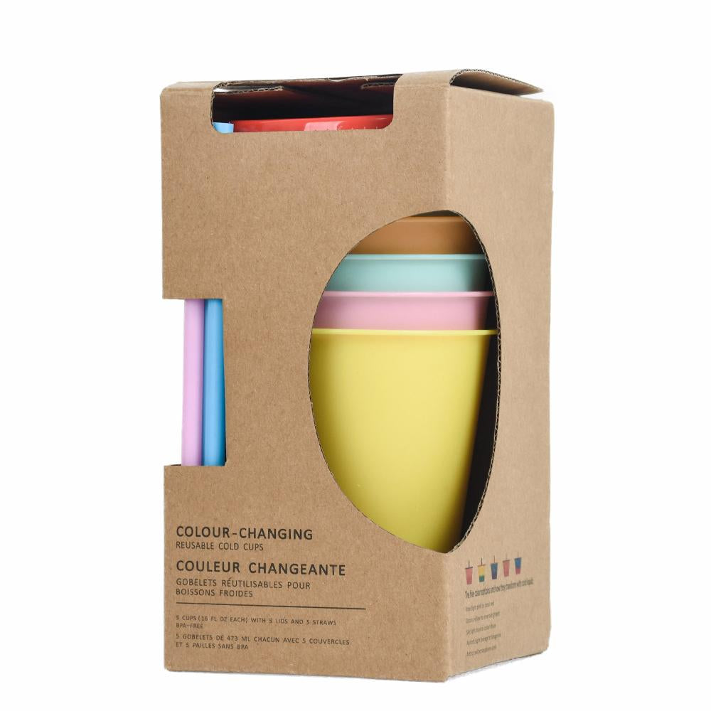 Hot Sale Bisphenol A Free Reusable Drinking Cold Cup 16 Oz/24 Oz Polypropylene Frosted Plastic Cup With Lid And Straw