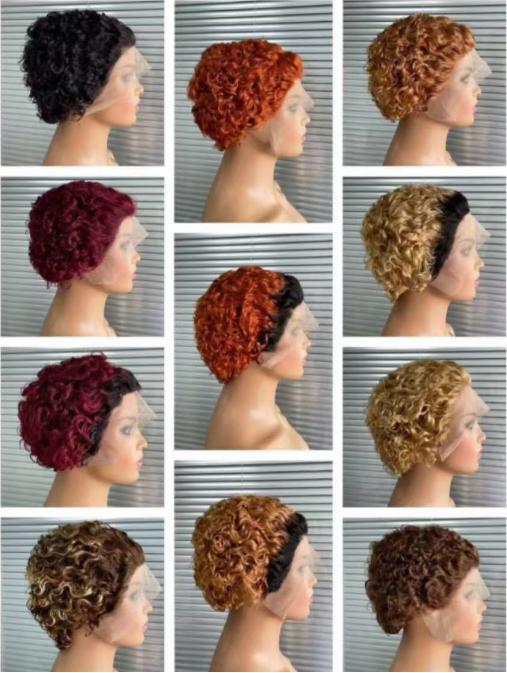 Popular European And American African Short Curly Hair Wig Wool Roll Various Colors African Women Short Elf Curly Hair Wig