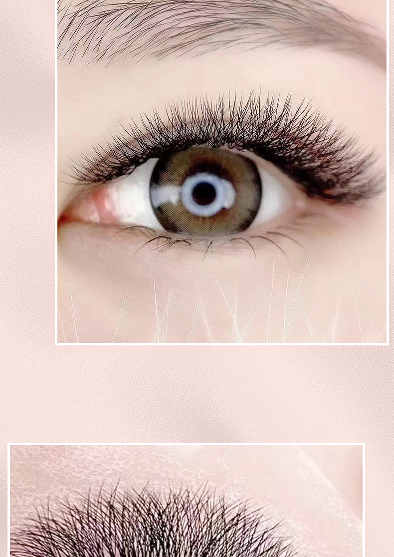 5D W Shape Eyelash Lengthening Prefabricated W Eyelash C/D Curl High Quality Personality False Eyelash Roll Fan W Style YY Eyelash