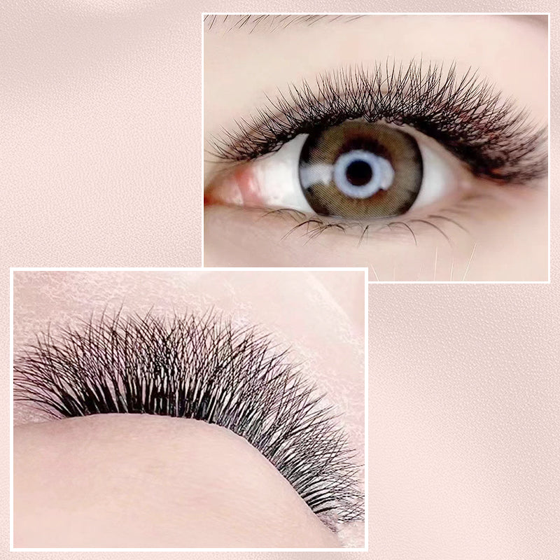 5D W Shape Eyelash Lengthening Prefabricated W Eyelash C/D Curl High Quality Personality False Eyelash Roll Fan W Style YY Eyelash