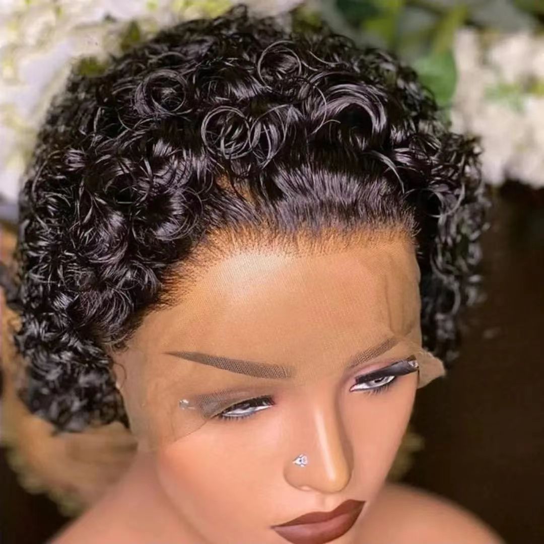 Popular European And American African Short Curly Hair Wig Wool Roll Various Colors African Women Short Elf Curly Hair Wig