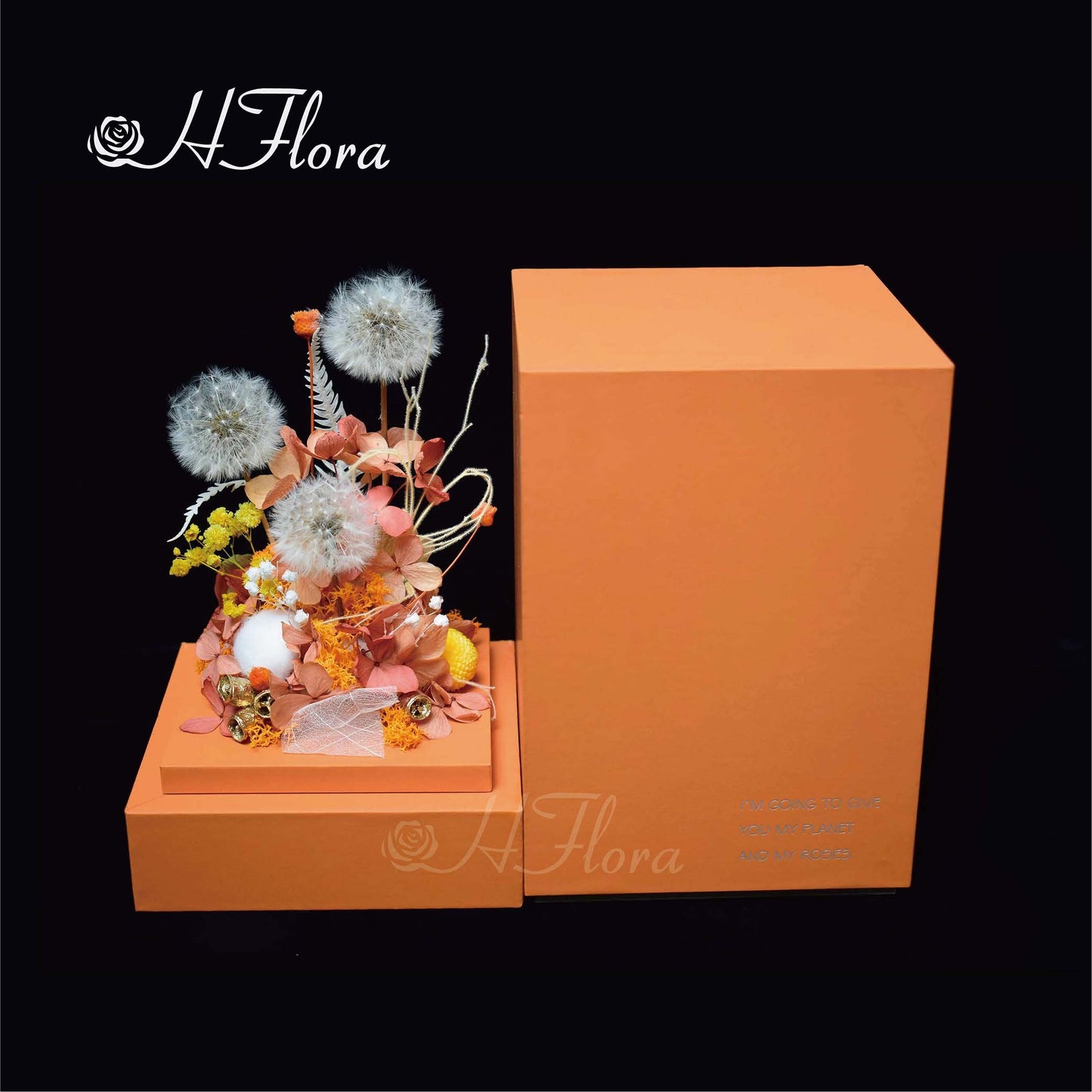 Hflora Wholesale New Arrived Gift Timeless Lasting Real Natural Preserved Flower And Plant Acrylic Box