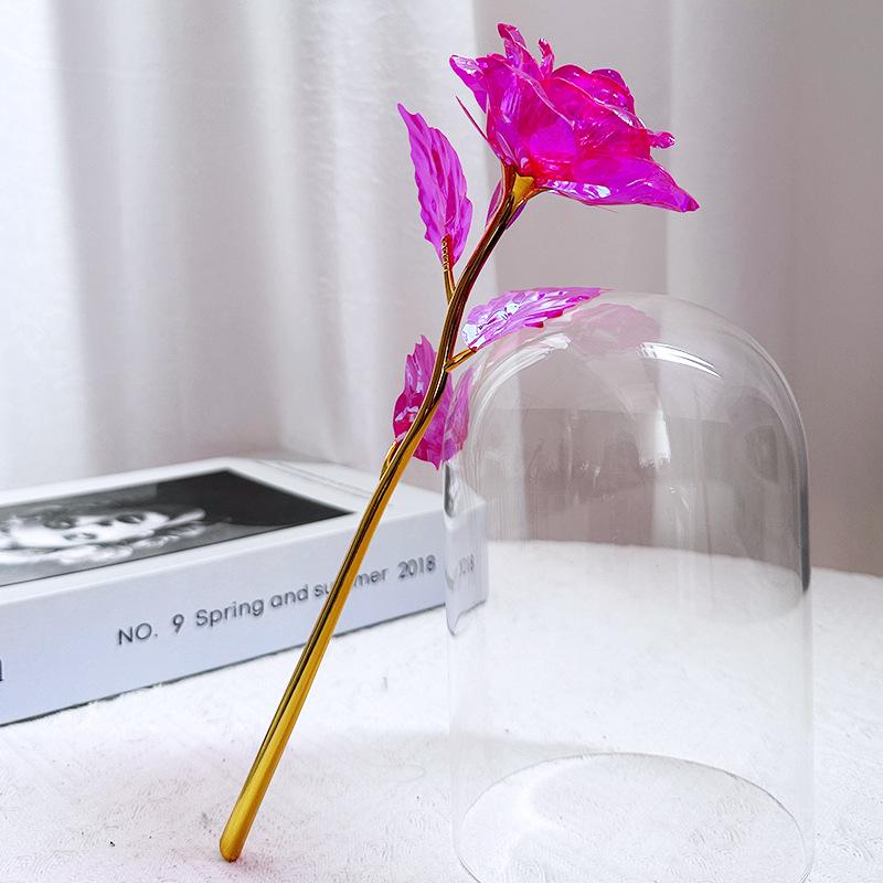 Glass Dome LED Light Mother's Day And Christmas Gift Plastic Preserved Flowers Plant Women Eternal Galaxy Rose Forever Rose