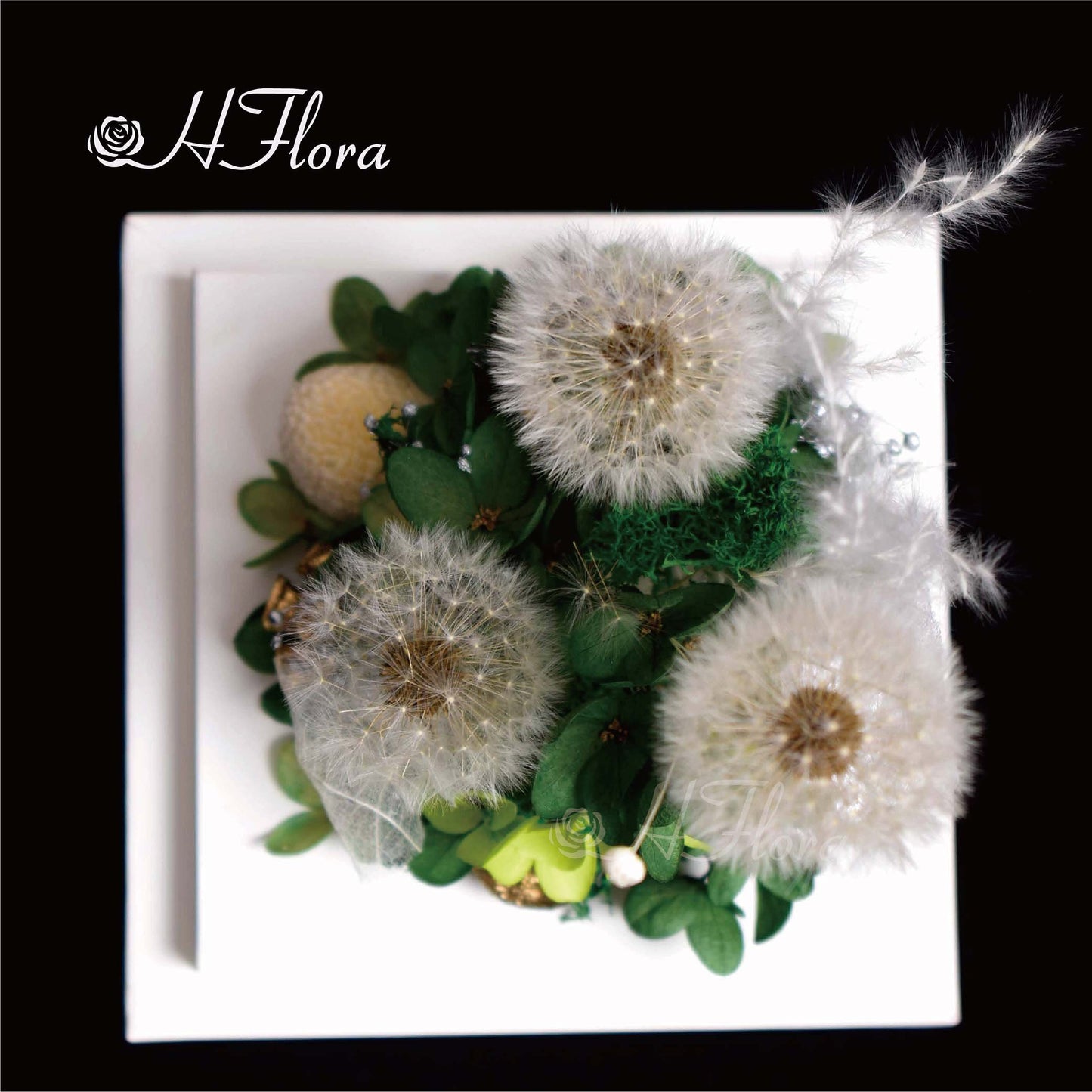 Hflora Wholesale New Arrived Gift Timeless Lasting Real Natural Preserved Flower And Plant Acrylic Box