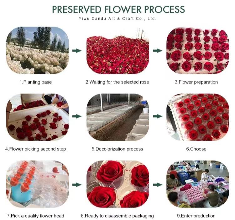 AYOYO OEM Preserved Rose Forever Flower And Plant Decoration Material Eternal Flower