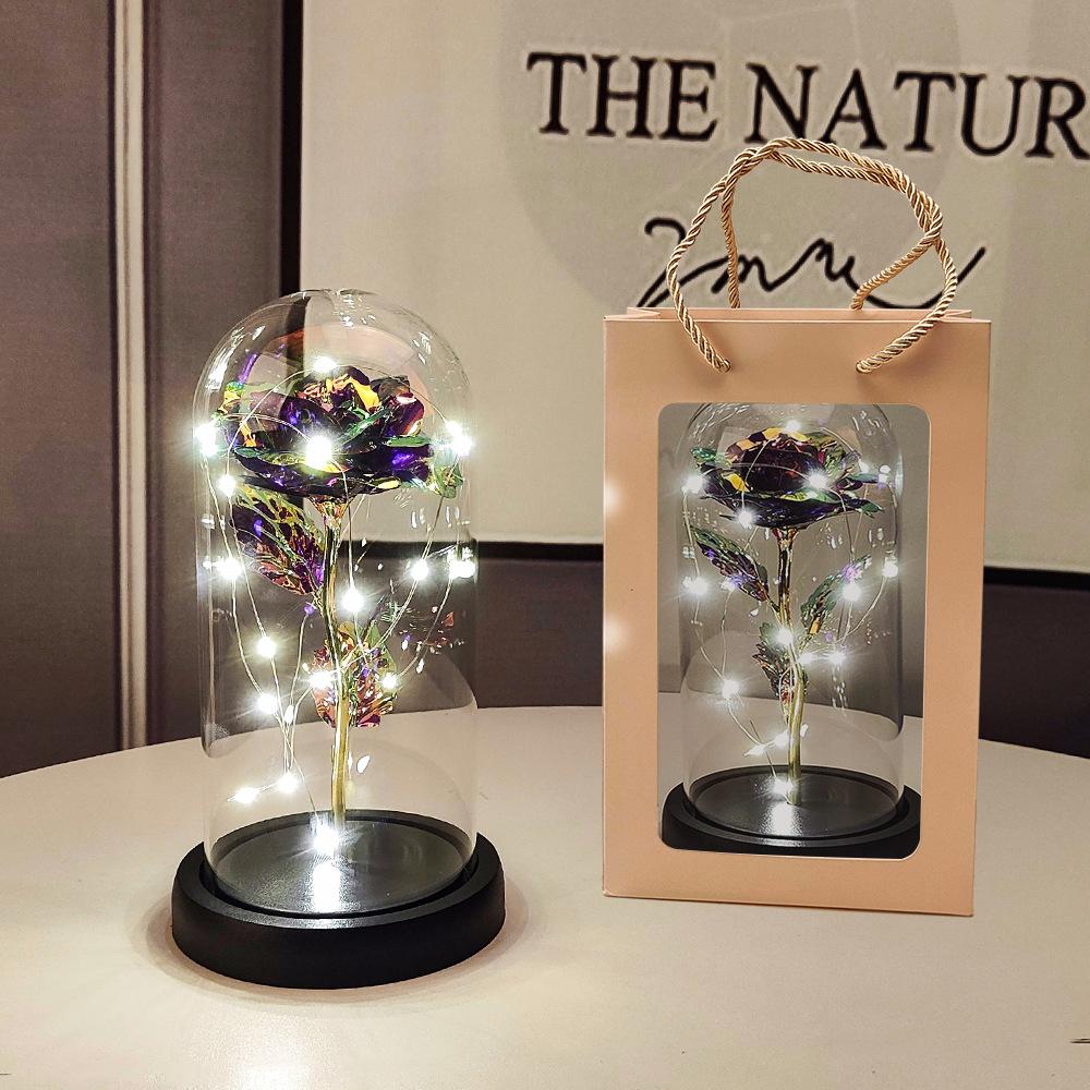 Glass Dome LED Light Mother's Day And Christmas Gift Plastic Preserved Flowers Plant Women Eternal Galaxy Rose Forever Rose