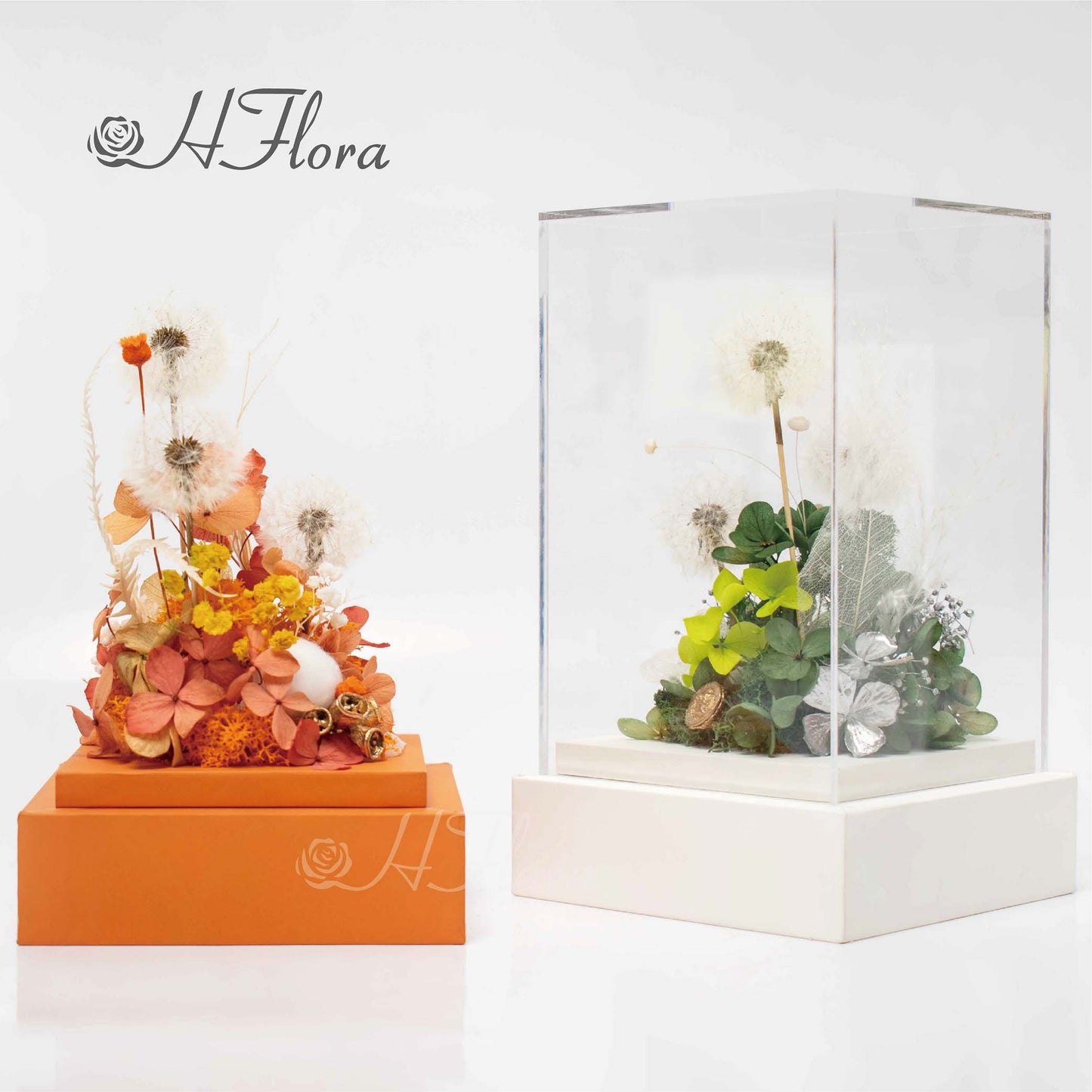 Hflora Wholesale New Arrived Gift Timeless Lasting Real Natural Preserved Flower And Plant Acrylic Box