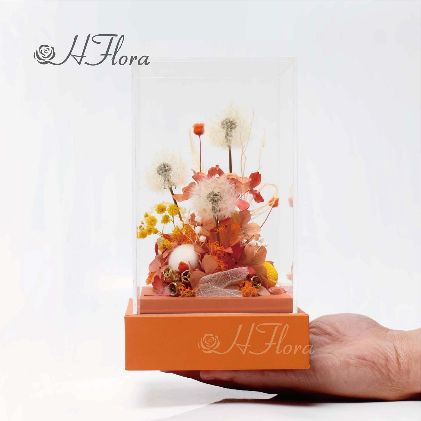 Hflora Wholesale New Arrived Gift Timeless Lasting Real Natural Preserved Flower And Plant Acrylic Box