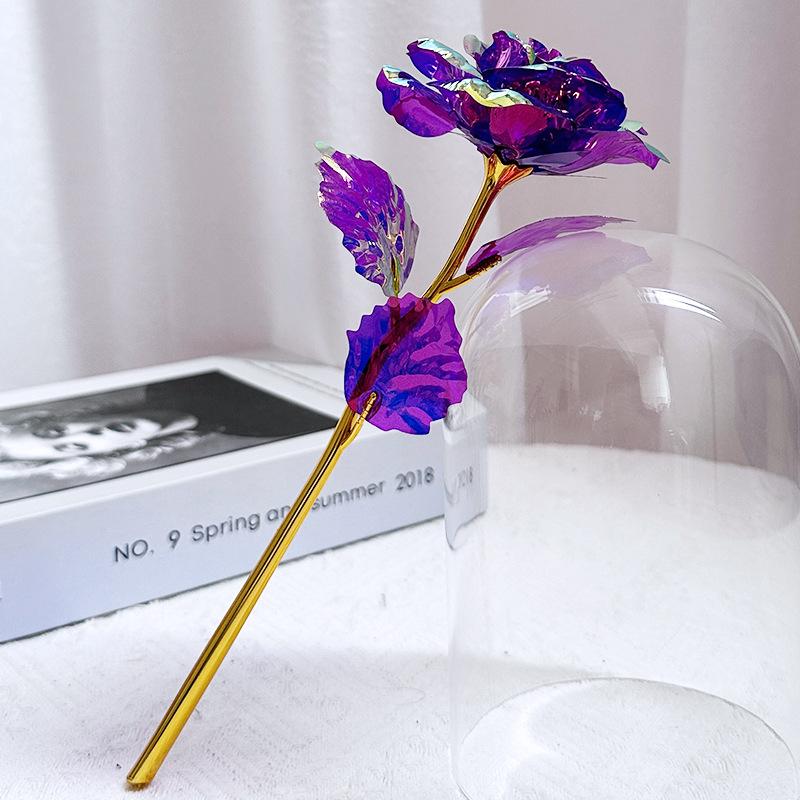 Glass Dome LED Light Mother's Day And Christmas Gift Plastic Preserved Flowers Plant Women Eternal Galaxy Rose Forever Rose