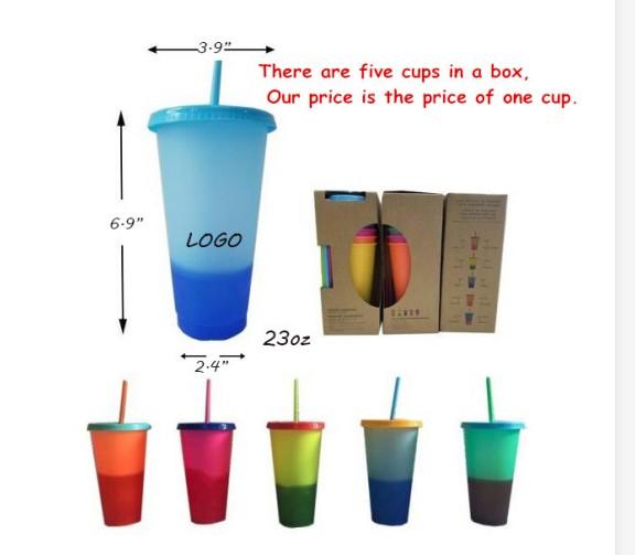 Hot Sale Bisphenol A Free Reusable Drinking Cold Cup 16 Oz/24 Oz Polypropylene Frosted Plastic Cup With Lid And Straw