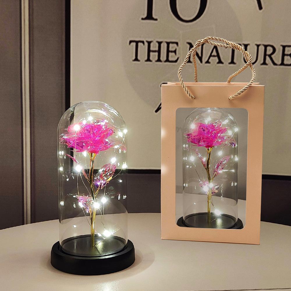 Glass Dome LED Light Mother's Day And Christmas Gift Plastic Preserved Flowers Plant Women Eternal Galaxy Rose Forever Rose