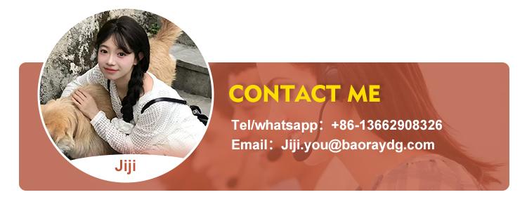 Top Fashion Women Brand Printed Luxury Bag Handbag PU Shoulder Bag Women's Large Capacity Handbag