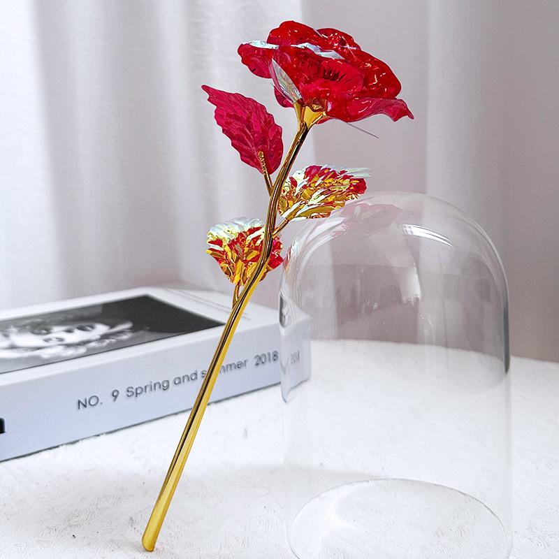 Glass Dome LED Light Mother's Day And Christmas Gift Plastic Preserved Flowers Plant Women Eternal Galaxy Rose Forever Rose