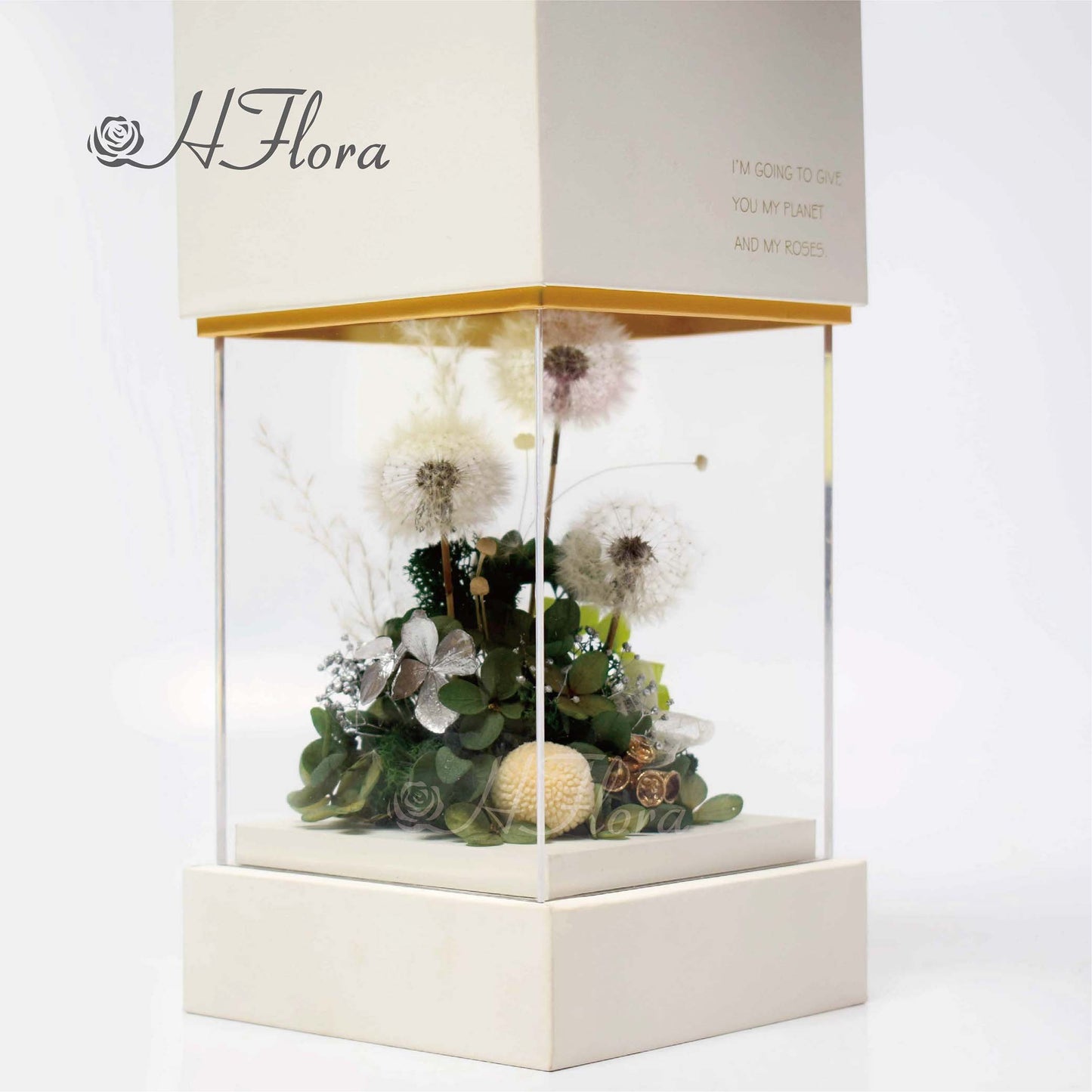 Hflora Wholesale New Arrived Gift Timeless Lasting Real Natural Preserved Flower And Plant Acrylic Box