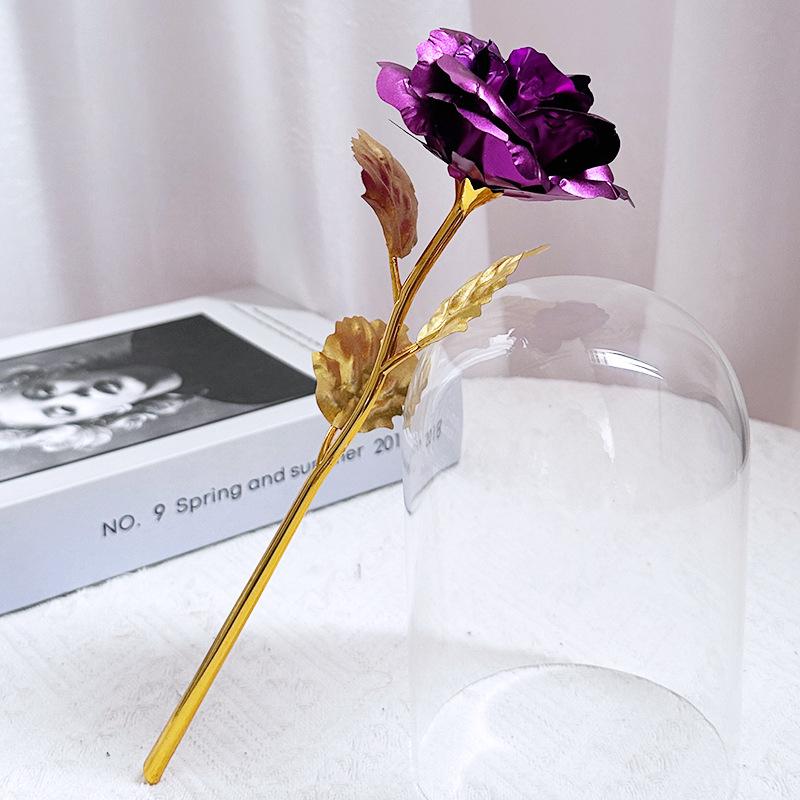 Glass Dome LED Light Mother's Day And Christmas Gift Plastic Preserved Flowers Plant Women Eternal Galaxy Rose Forever Rose