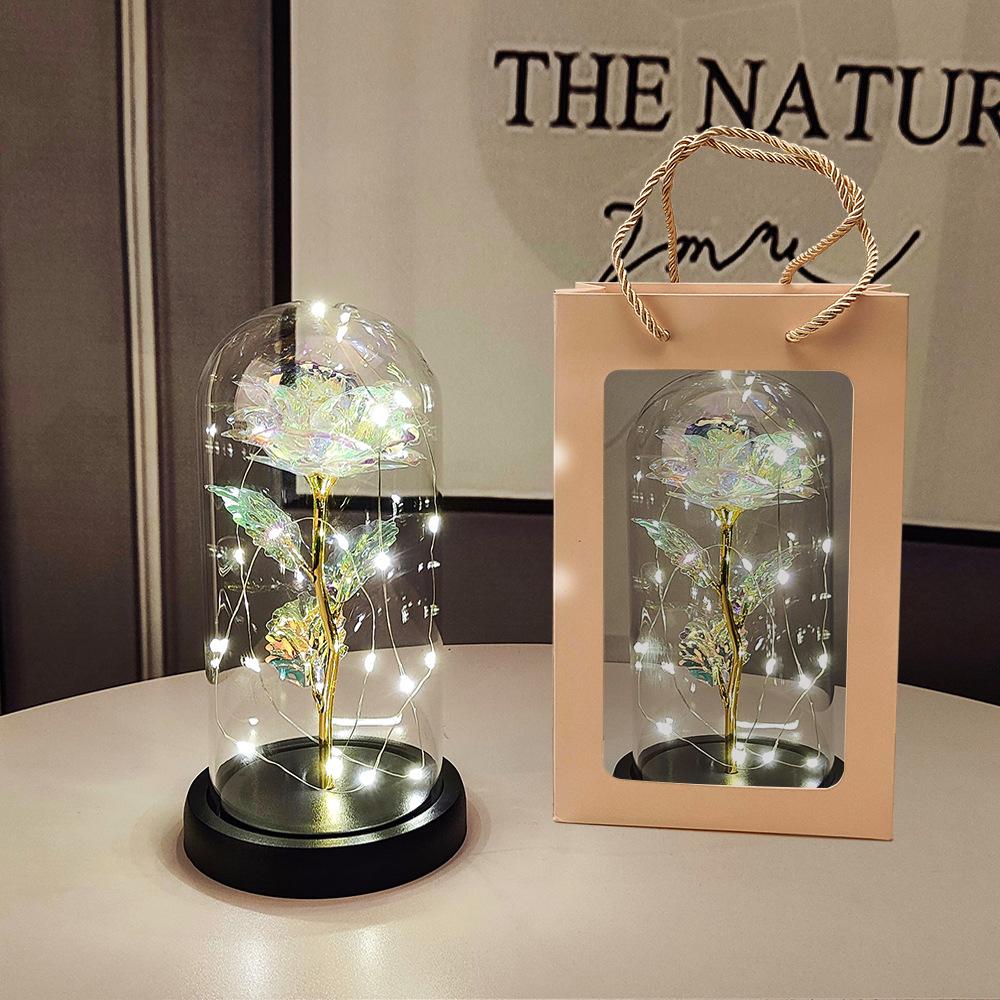 Glass Dome LED Light Mother's Day And Christmas Gift Plastic Preserved Flowers Plant Women Eternal Galaxy Rose Forever Rose