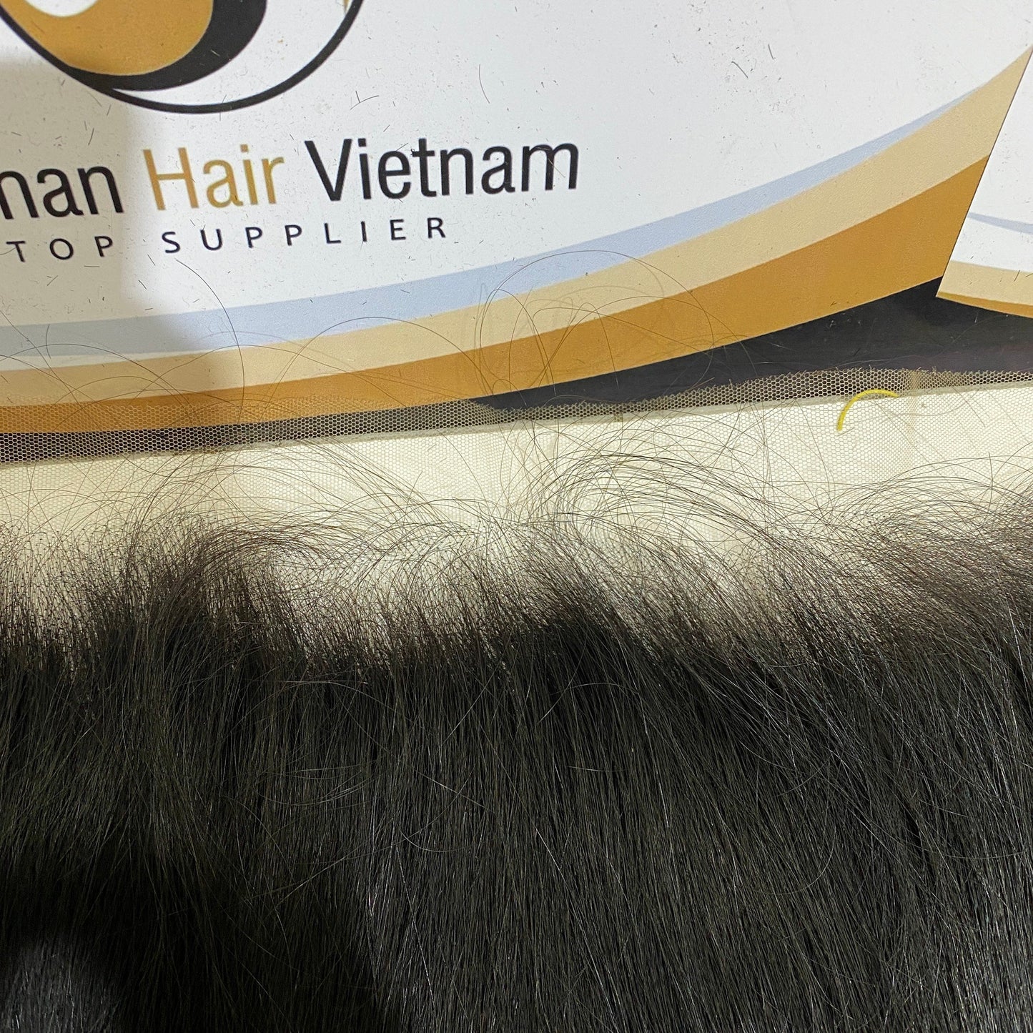 Hot Sale Available Best Real 100 People Virgin Head Horse Hair Belt Lace Front Suit