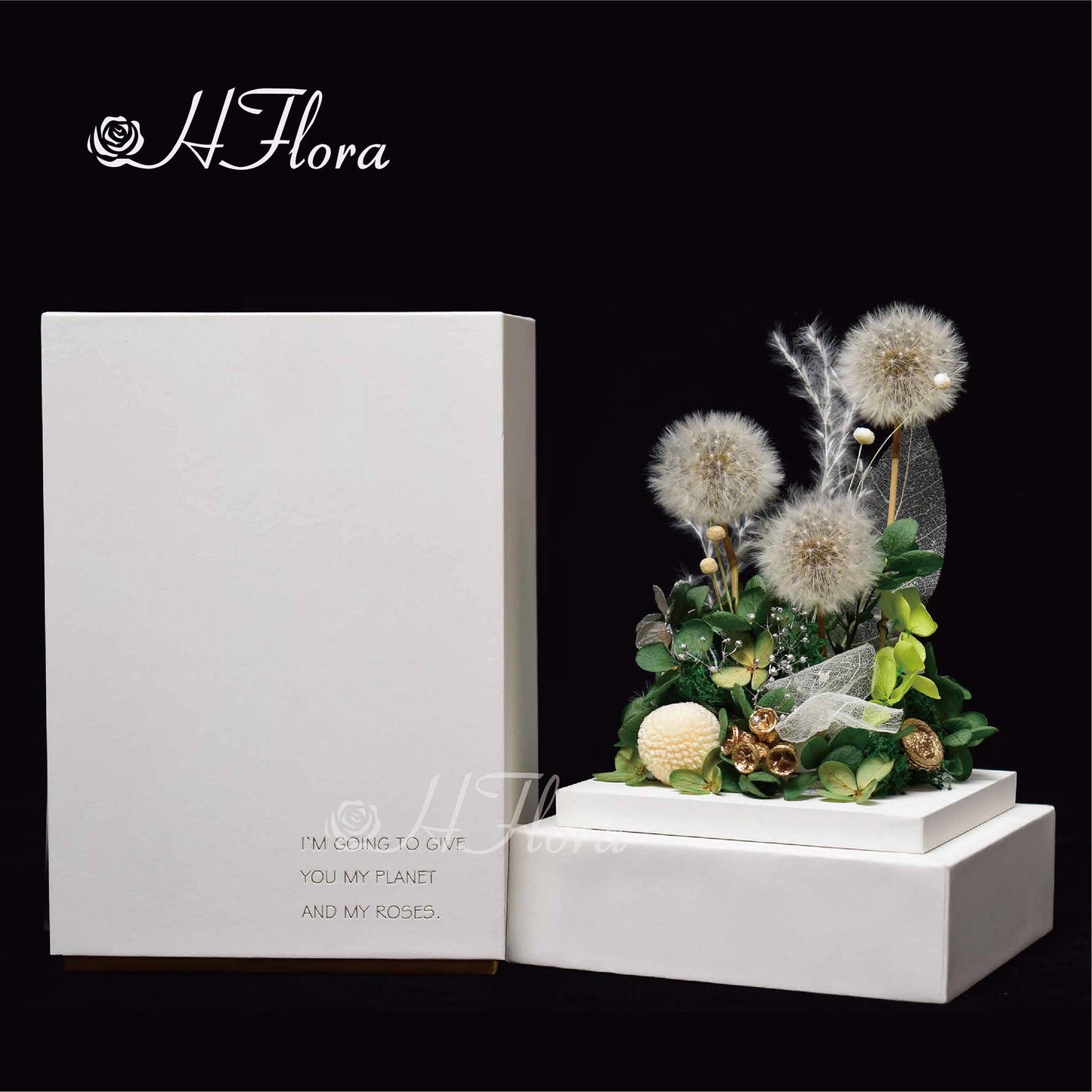 Hflora Wholesale New Arrived Gift Timeless Lasting Real Natural Preserved Flower And Plant Acrylic Box