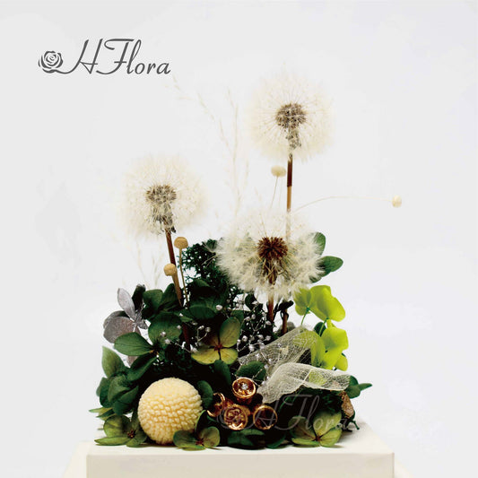 Hflora Wholesale New Arrived Gift Timeless Lasting Real Natural Preserved Flower And Plant Acrylic Box