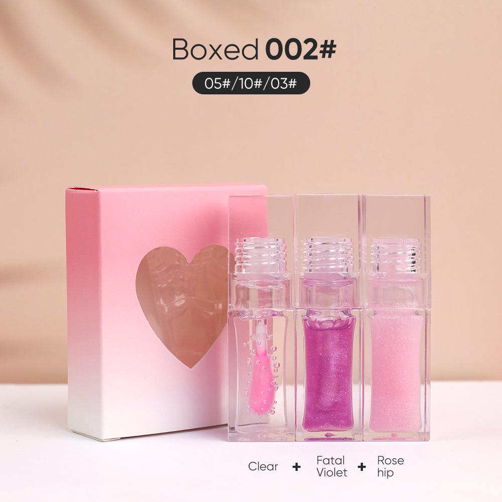 Lip Gloss Glitter High Quality Lip Gloss Lip Gloss