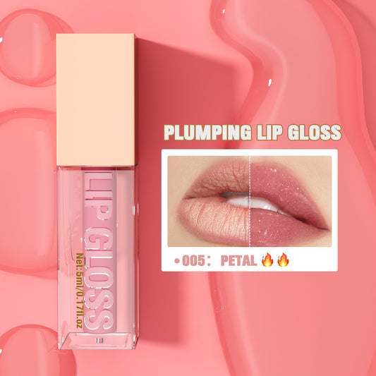 Lip Gloss Moisturizing Lip Gloss Hyaluronic Acid Moisturizing Gloss Lip Gloss
