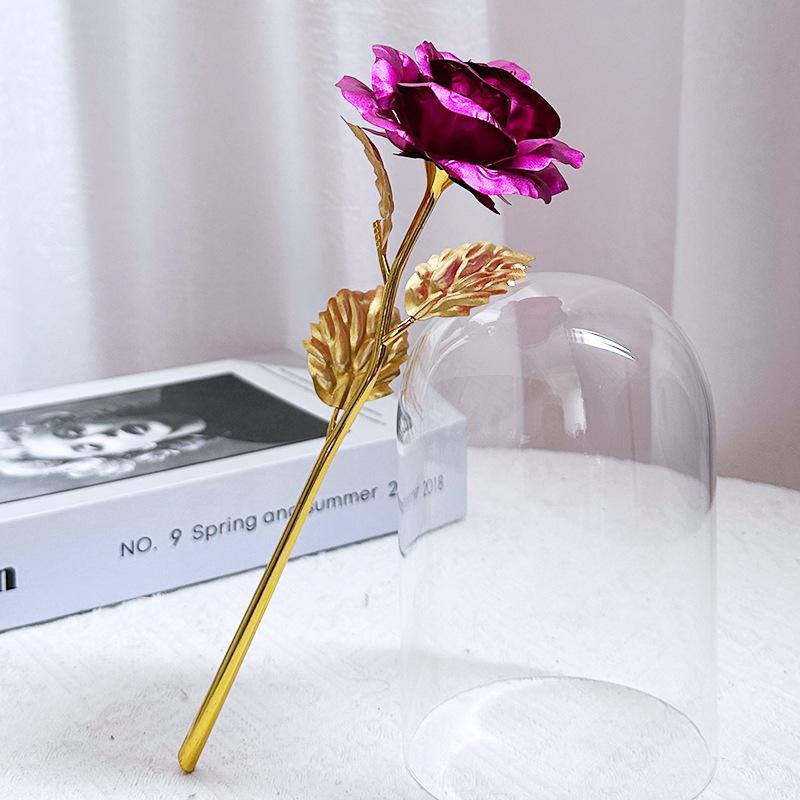 Glass Dome LED Light Mother's Day And Christmas Gift Plastic Preserved Flowers Plant Women Eternal Galaxy Rose Forever Rose