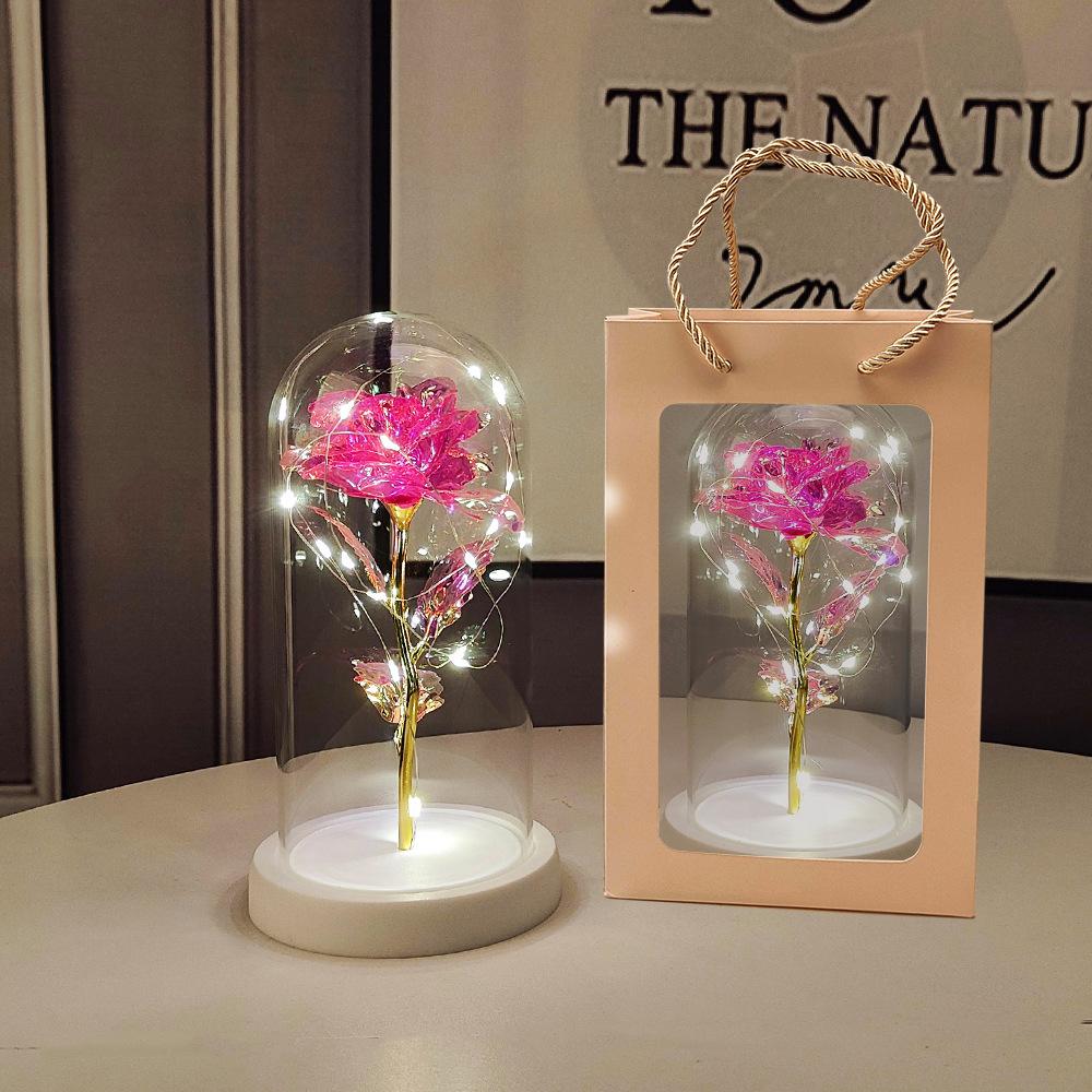 Glass Dome LED Light Mother's Day And Christmas Gift Plastic Preserved Flowers Plant Women Eternal Galaxy Rose Forever Rose