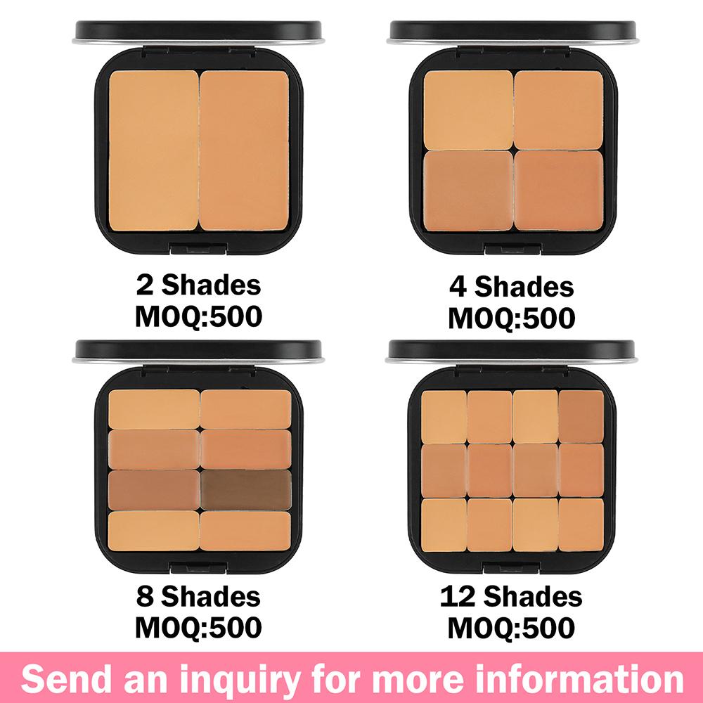 6 Color Matte Waterproof Concealer Palette Private Label Full Cover Concealer OEM