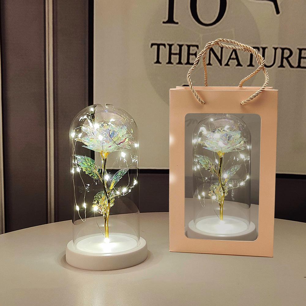 Glass Dome LED Light Mother's Day And Christmas Gift Plastic Preserved Flowers Plant Women Eternal Galaxy Rose Forever Rose