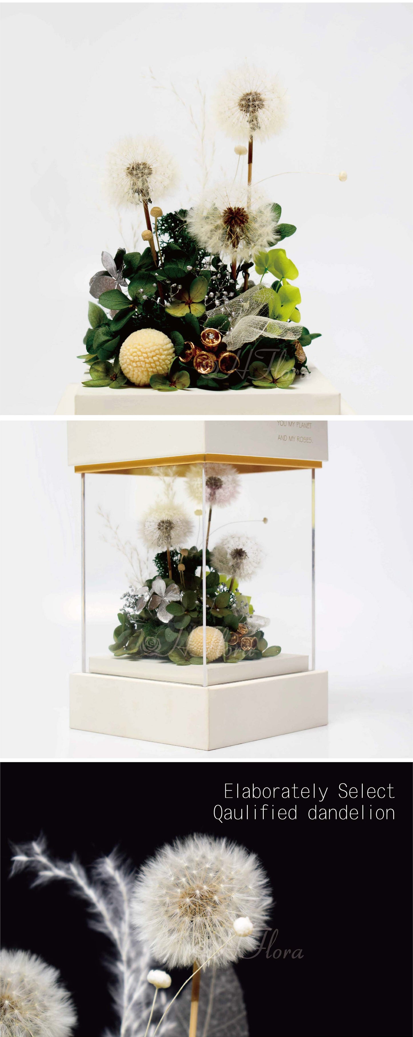 Hflora Wholesale New Arrived Gift Timeless Lasting Real Natural Preserved Flower And Plant Acrylic Box