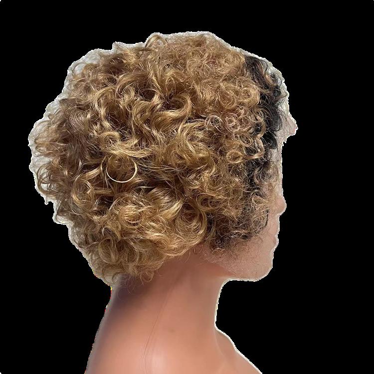 Factory Hot Sale Custom Curly Hair Wig Virgin Hair Lace Front Wig Real Hair Suit