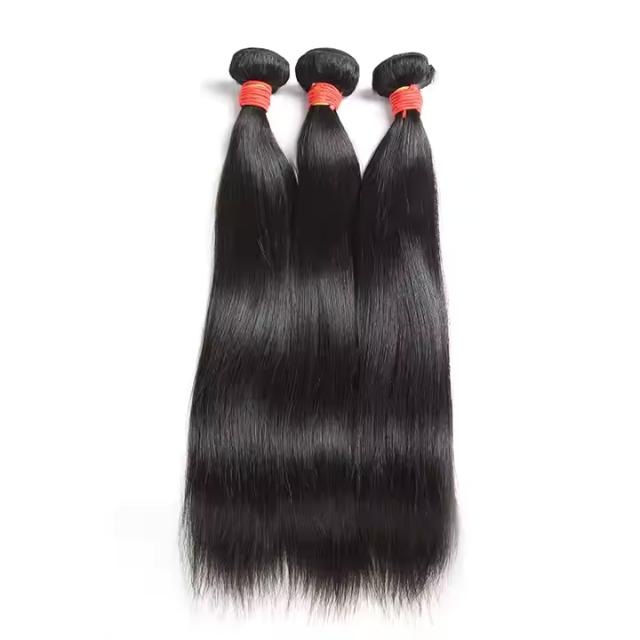 Professional Women's Wig -100% Original Human Hair, Tangle-Free, Lasting Wear
