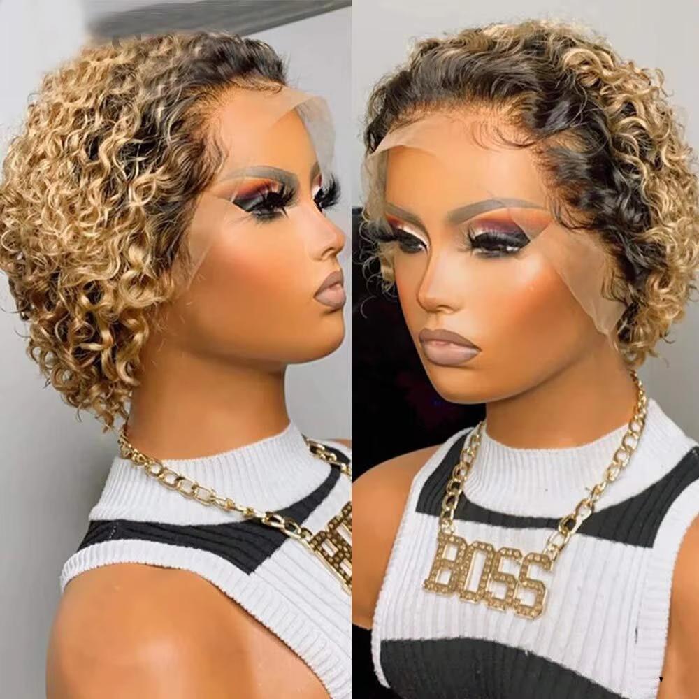 Popular European And American African Short Curly Hair Wig Wool Roll Various Colors African Women Short Elf Curly Hair Wig