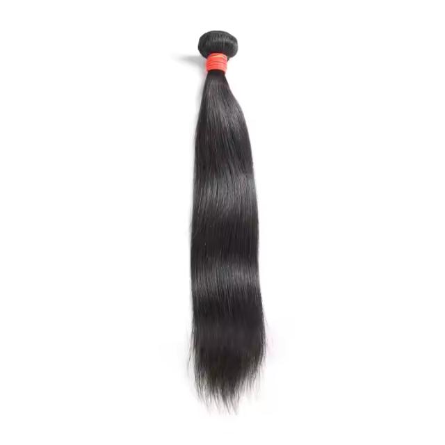 Professional Women's Wig -100% Original Human Hair, Tangle-Free, Lasting Wear